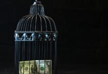 telecom security risk management