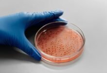 sector growth analysis report