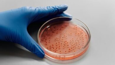 sector growth diagnostic analysis