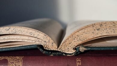 strategic commercial intelligence review